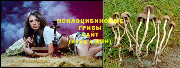сатива Алзамай