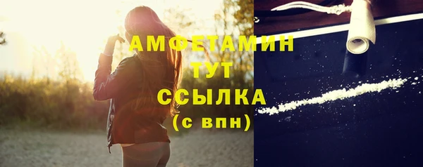 сатива Алзамай
