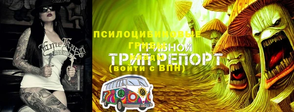 бошки Алексеевка