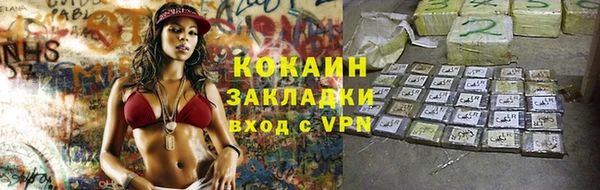сатива Алзамай