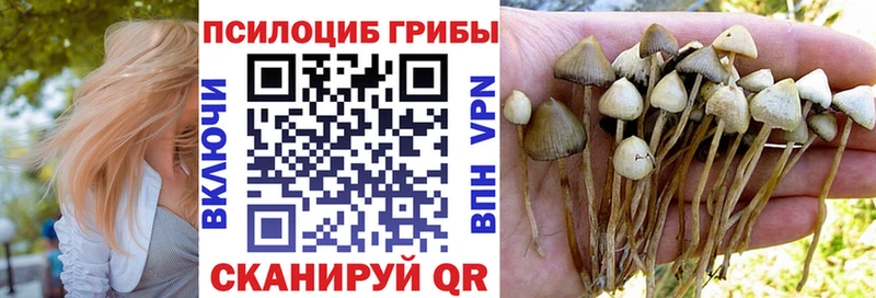 Галлюциногенные грибы ЛСД  OMG зеркало  Крымск 