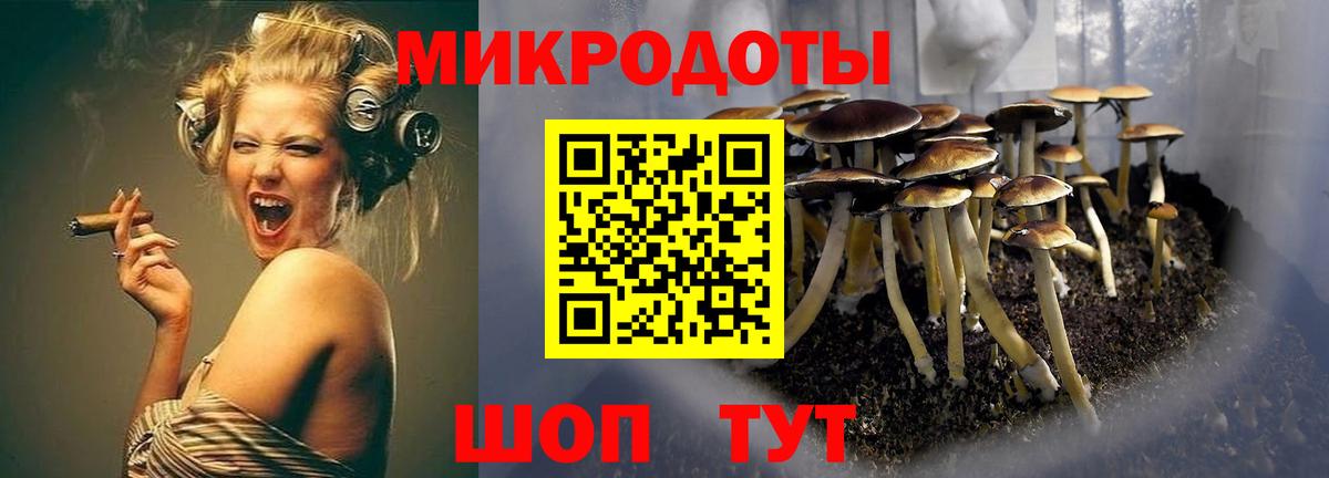 Крымск  Галлюциногенные грибы мухоморы  Вход с VPN 