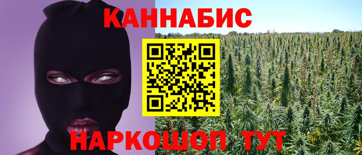 МАРИХУАНА сатива Крымск